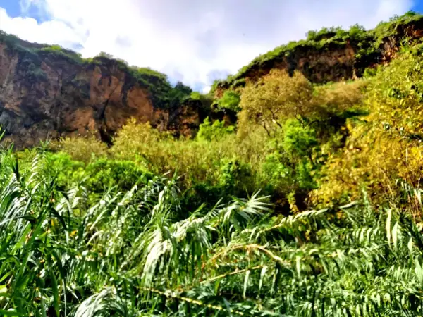 Verde exuberante y rocas escarpadas en el barranco de Azuaje, con un cielo azul y nubes.