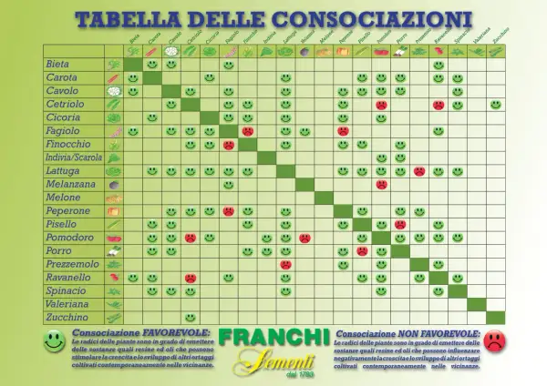 Tabella consociazioni ortaggi con faccine sorridenti (favorevole) e tristi (sfavorevole).