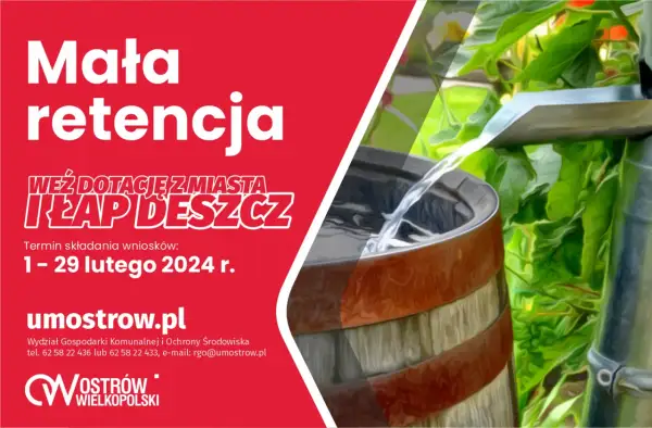 Deszczówka: legalnie, skutecznie, z dotacją. Poradnik DIY