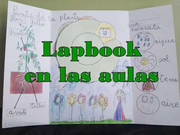 Un lapbook sobre las partes de la planta y lo que necesita. Muestra un dibujo de una planta, flores y sol, agua, tierra y aire.