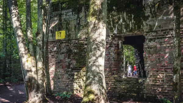 Ruiny Wilczego Szańca porośnięte mchem i drzewami. Dwie osoby wchodzą do ciemnego tunelu.