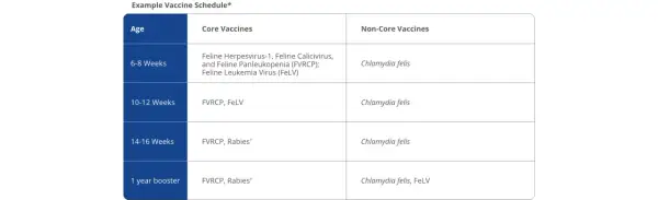 Table showing an example vaccine schedule for cats, detailing core vaccines like FVRCP and FeLV at different ages, from kittens to one-year boosters.