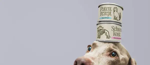 Pies z dwoma puszkami mokrej karmy dla psa na głowie. Jedna z nich to "Patent rezept Hypoallergen", druga "Schonkost Gastrointestinal".