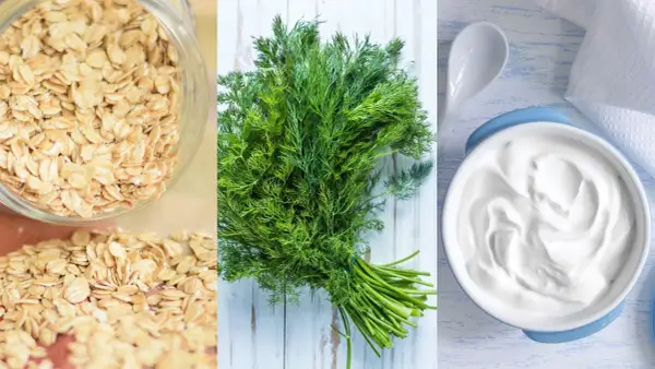 Haferflocken, Dill und Joghurt: Lebensmittel, die den Darm beruhigen und für Wohlbefinden sorgen.