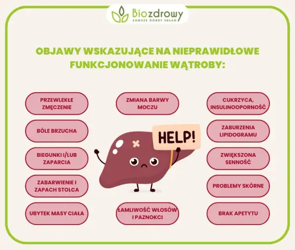 Objawy zanieczyszczonej wątroby - poznaj niebezpieczne sygnały zdrowotne