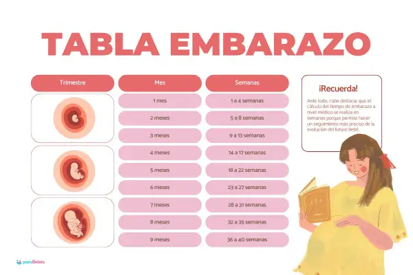 Tabla de embarazo que muestra cuántas semanas tiene un embarazo, desde 1 mes (1-4 semanas) hasta 9 meses (36-40 semanas).