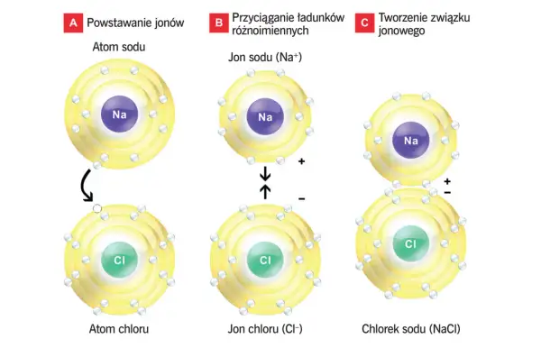 Schemat pokazuje, jak powstaje chlorek sodu (NaCl). Atom sodu oddaje elektron, tworząc jon Na+, a atom chloru go przyjmuje, tworząc jon Cl-. Następnie jony te przyciągają się, tworząc związek.