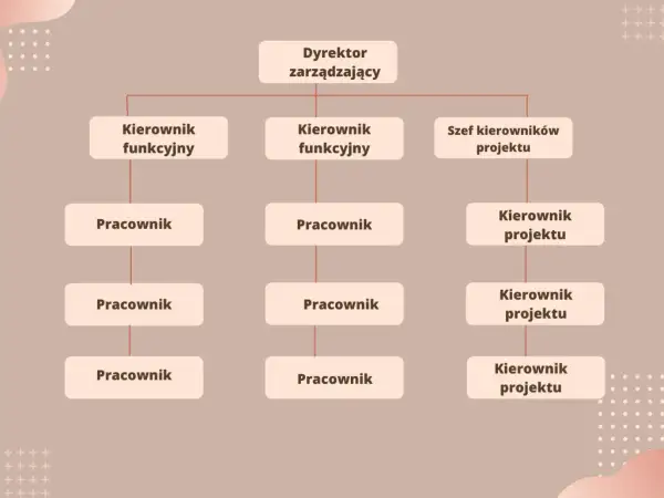 Schemat przedstawia strukturę organizacyjną firmy z dyrektorem zarządzającym na czele, kierownikami funkcyjnymi i szefem kierowników projektu.