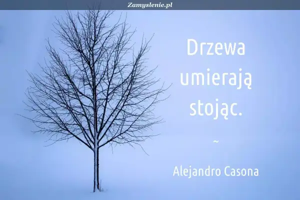 Drzewa umierają stojąc. Cytat z wierszy o drzewach znanych poetów, Alejandro Casona.