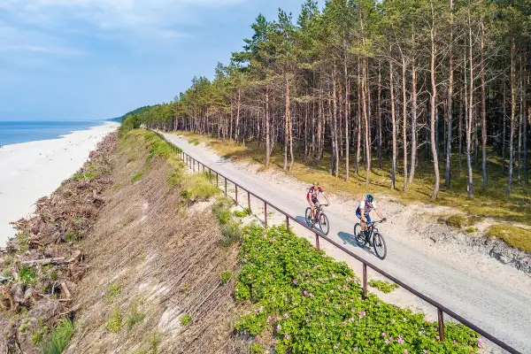 Dwóch rowerzystów przemierza malownicze trasy rowerowe Gdańsk wzdłuż sosnowego lasu i plaży.