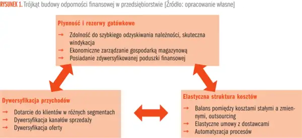 Trójkąt odporności finansowej: Płynność, Dywersyfikacja przychodów, Elastyczna struktura kosztów. Kluczowy jest kapitał zapasowy.