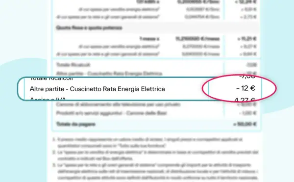 Dettaglio bolletta luce: "Altre partite - Cuscinetto Rata Energia Elettrica" con un costo di -12 €.