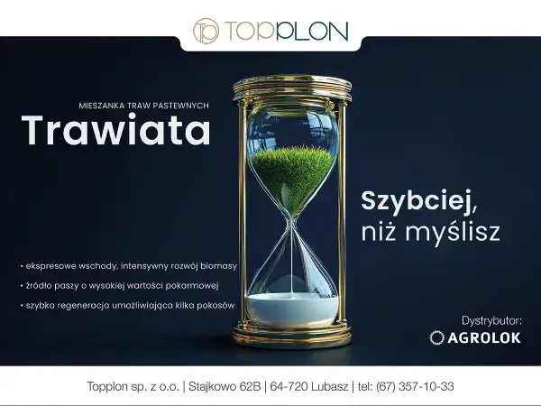 Krzyżówka cennej trawy pastewnej w klepsydrze symbolizuje szybki wzrost i obfitość paszy.