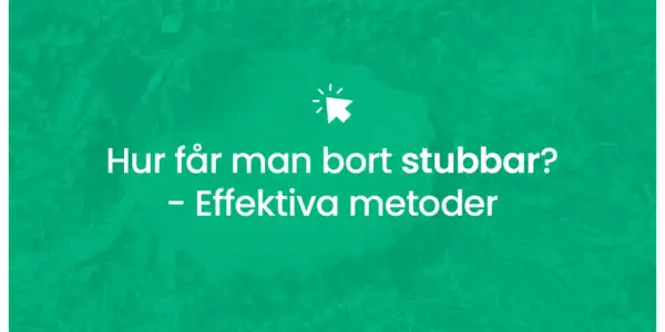 Hur får man bort stubbar? Effektiv metod för att ta bort stubbar.