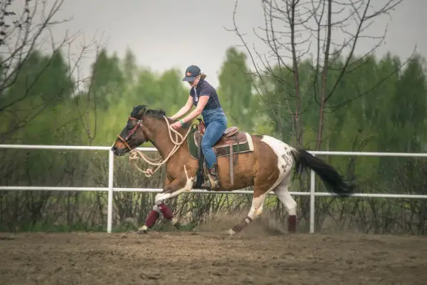 Kobieta na koniu w galopie. Zastanawiasz się, ile waży koń? Ten piękny, łaciaty rumak z pewnością ma sporą masę.