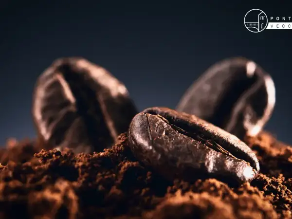 Chicchi di caffè tostati su polvere, un'immagine che evoca il miglior caffè al mondo.