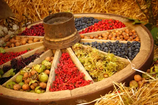 Ein Wagenrad voller Gaben: Nüsse, Beeren und Früchte, wie auf einem **herbstmarkt unterfranken** präsentiert.