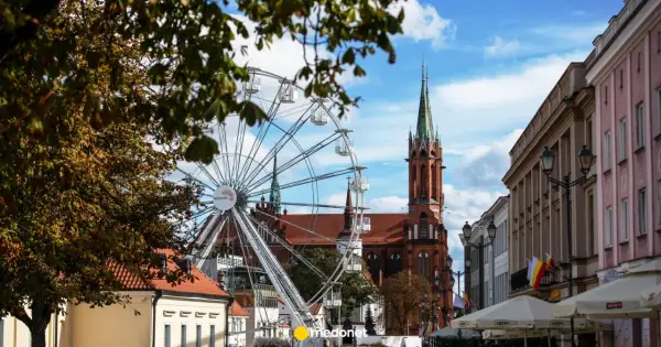 Ile lat żyje koń? Poznaj fakty i sekrety długowieczności