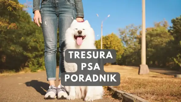 Szczęśliwy szczeniak i jego opiekun na spacerze. Poradnik "Tresura psa" pomoże Ci jak wychować szczeniaka.