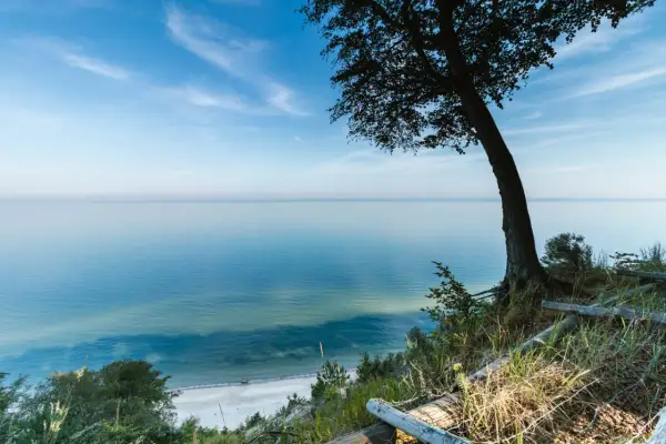 Widok na spokojne morze z klifu w Międzyzdrojach. Drzewo na pierwszym planie, plaża w oddali. Piękne międzyzdroje atrakcje.