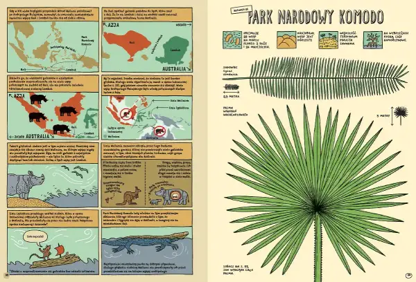Park Narodowy Komodo: mapy, zwierzęta i rośliny. Dowiedz się, którędy do Yellowstone, odkrywając fascynujące gatunki i linie podziału fauny.