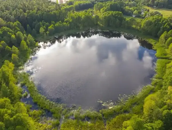Malownicze jezioro Wójtowskie otoczone bujną zielenią lasów i trzcin.