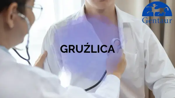 Lekarz osłuchuje pacjenta, na jego piersi widnieje napis "GRUŹLICA". Logo Gentaur.