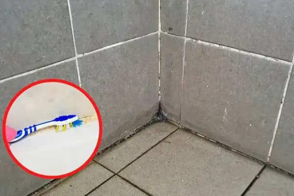 Czyste fugi bez wysiłku? Sprawdzone metody na brud i pleśń!