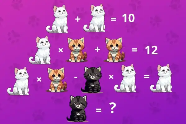 Zagadka matematyczna z kotami. Biały kot + biały kot = 10. Pomarańczowy kot x pomarańczowy kot + pomarańczowy kot = 12. Biały kot x pomarańczowy kot - czarny kot x biały kot = ?. Ile iq ma kot?