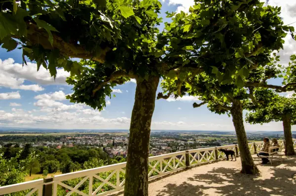 Bad Nauheim: Restaurants, Cafés & Kulinarik Guide | Entdecken Sie Genuss
