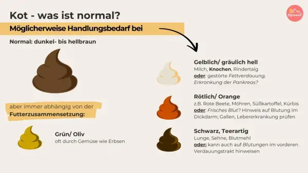 Hund Kot: normal ist dunkelbraun. Rötlicher Kot kann auf frisches Blut im Stuhl hinweisen, was tierärztliche Abklärung erfordert.