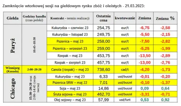 Po ile rzepak w skupie? Sprawdź aktualne ceny i prognozy rynku
