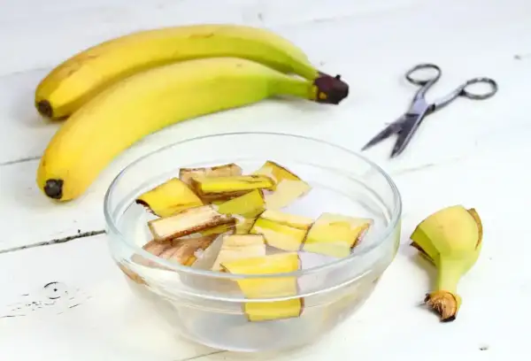 Nawóz z bananów do jakich roślin? Skórki bananów w wodzie, gotowe na odżywczy eliksir dla roślin.