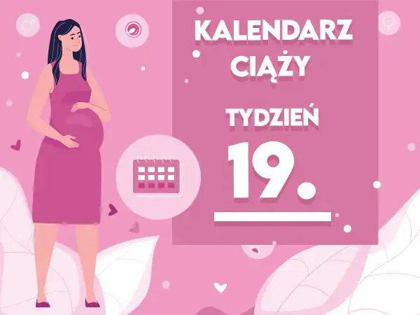 Kobieta w 19. tygodniu ciąży, z brzuszkiem. Obok kalendarz i napis "Kaledarz ciąży tydzień 19".