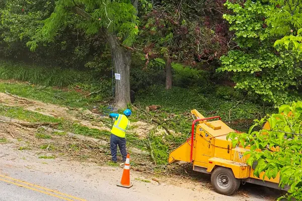 Operaio con giubbotto ad alta visibilità lavora con cippatrice gialla, gestendo sfalci e potature in un'area verde.