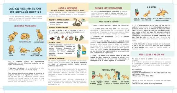 Ilustración muestra cómo actuar ante una intoxicación de perros, incluyendo síntomas, causas y qué hacer si el animal ingiere veneno.