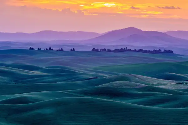 A fine art landscape photography captures rolling green hills under a vibrant sunset sky.