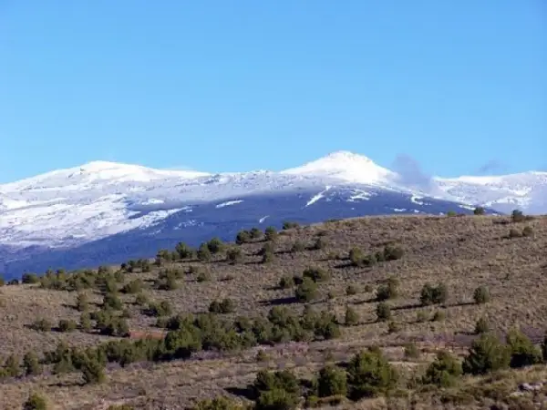 Paisaje montañoso con nieve en las cumbres y vegetación baja salpicada de árboles en los pradillos.