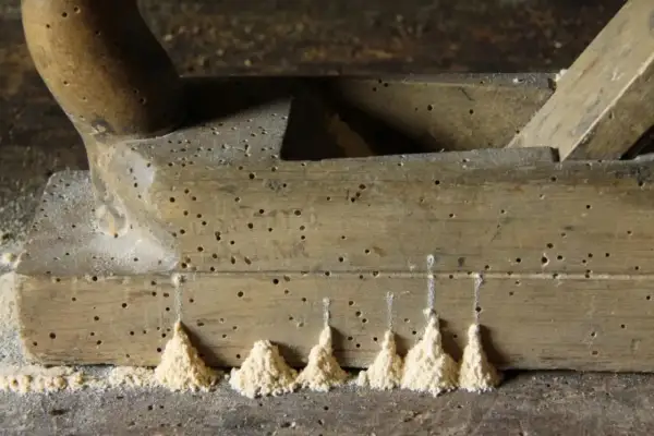 Pialla in legno infestata da tarli, con piccoli cumuli di segatura che indicano la loro presenza.