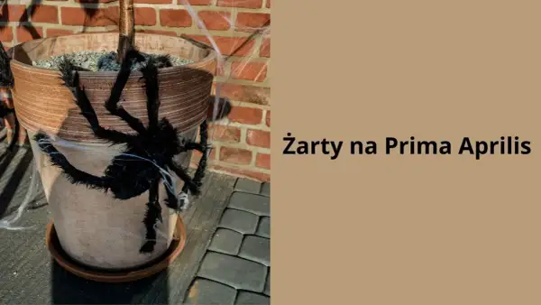Czarna, włochata pająk na doniczce z kwiatami, ozdobiona pajęczyną. Idealne żarty na Prima Aprilis, by przestraszyć bliskich!