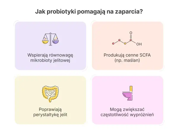 Probiotyk na zaparcia wspiera równowagę mikrobioty, poprawia perystaltykę jelit i może zwiększać częstotliwość wypróżnień.