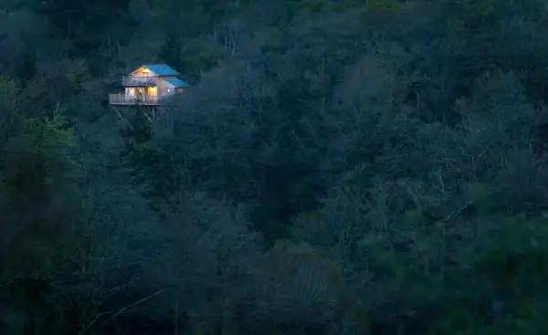 Un charmant **logement atypique en Bretagne**, perché au milieu d'une forêt dense et sombre, illuminé par des lumières chaudes.