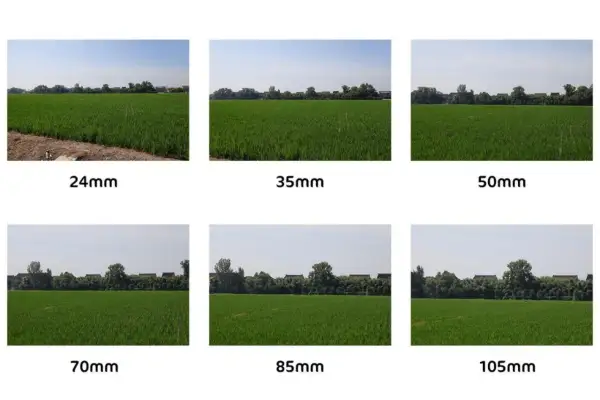 Sei immagini di un campo di riso con diverse lunghezze focali, da 24mm a 105mm, che mostrano l'effetto di un obiettivo per ritratti.