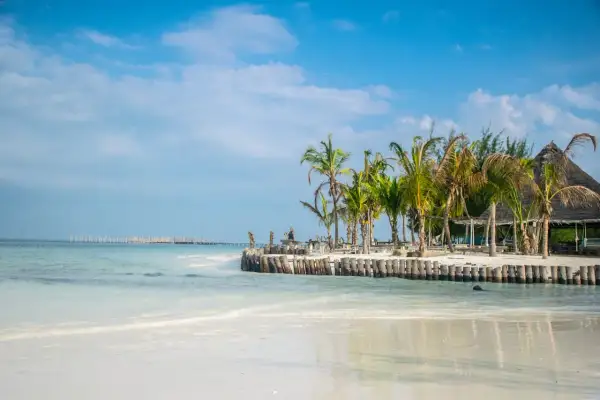 Piękna plaża z palmami i drewnianym molo. Zastanawiasz się, ile się leci na Zanzibar? To raj na ziemi!