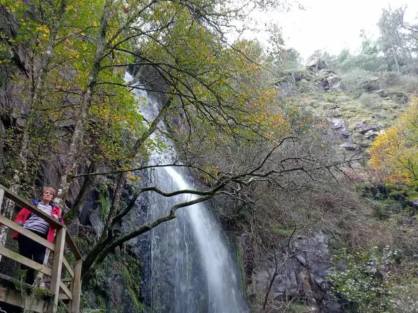 Mujer observa una impresionante cascada de agua caída en un entorno boscoso otoñal.