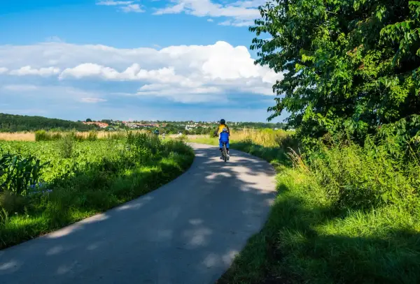 Osoba na rowerze przemierza malowniczą trasę velo natura, otoczoną zielenią pól i drzew, pod błękitnym niebem z chmurami.
