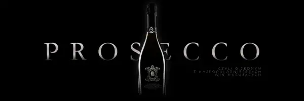 Elegancka butelka wina musującego z napisem "PROSECCO" i tekstem "CZYLI O JEDNYM Z NAJPOPULARNIEJSZYCH WIN MUSUJĄCYCH". Odkryj różne prosecco rodzaje.