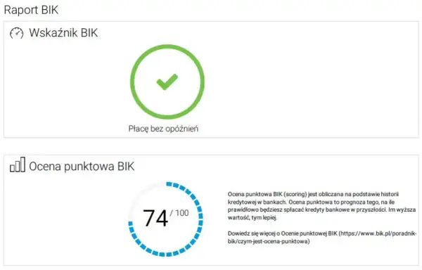 BIK: Jak sprawdzić swoją historię kredytową i zwiększyć szanse na kredyt?