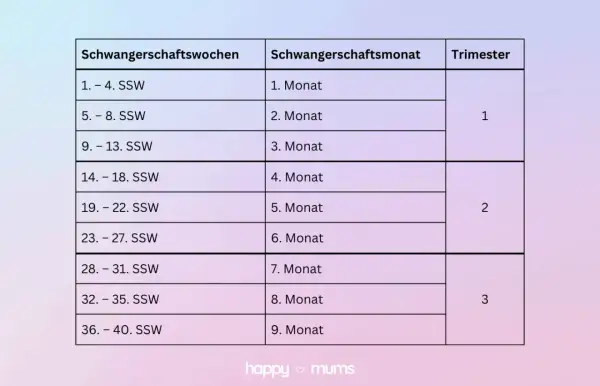 Tabelle zeigt Schwangerschaftswochen, welche SSW welcher Monat ist, und Trimester.