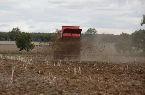 Czerwony rozrzutnik rozsypuje obornik na polu, przygotowując ziemię do nowego sezonu.